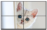 图片 3.png 图片 3.png