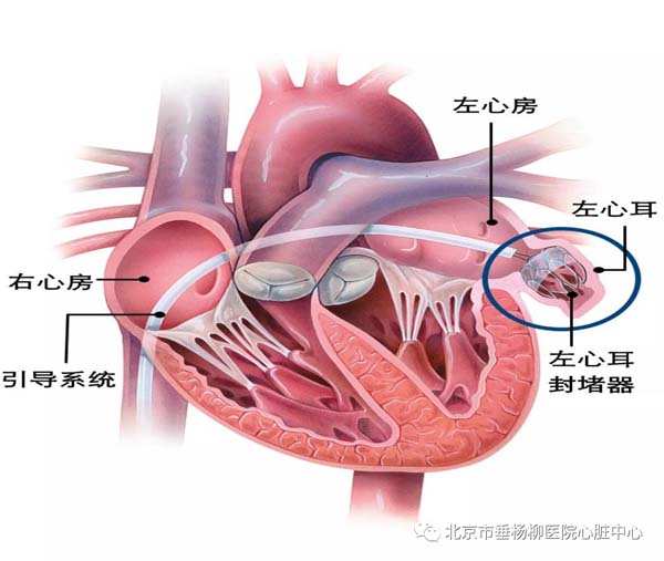微信图片_20220728113150.jpg
