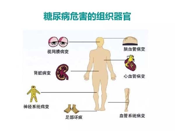 微信图片_20230526110722.jpg
