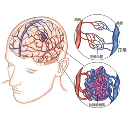 微信图片_20240925164316.png