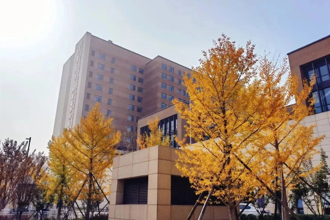 【杨柳服务】病房里的红歌:一场温暖88岁教师的心灵对话