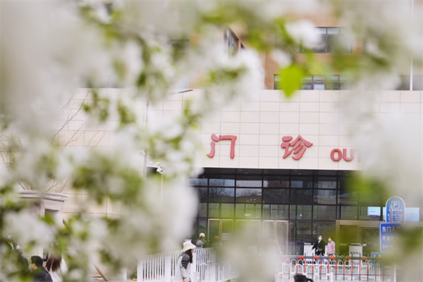 【杨柳探营】腹透术中突发险情,紧急施救化险为夷